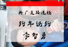 教师网课吃瓜,揭秘教师网课中的“吃瓜”事件