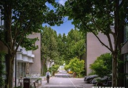 西店记忆招商租赁中心电话_办公楼详情介绍_周边配套_租金情况_2025最新发布2025年6月19日